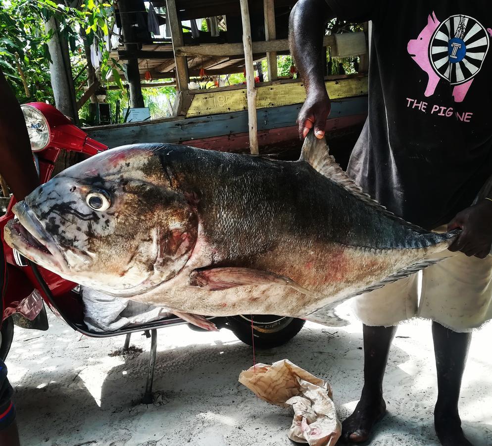 Kae Funk Zanzibar Hotel Michamvi Kae Ngoại thất bức ảnh