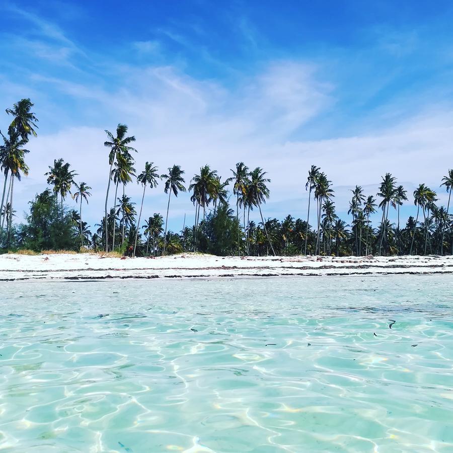Kae Funk Zanzibar Hotel Michamvi Kae Ngoại thất bức ảnh