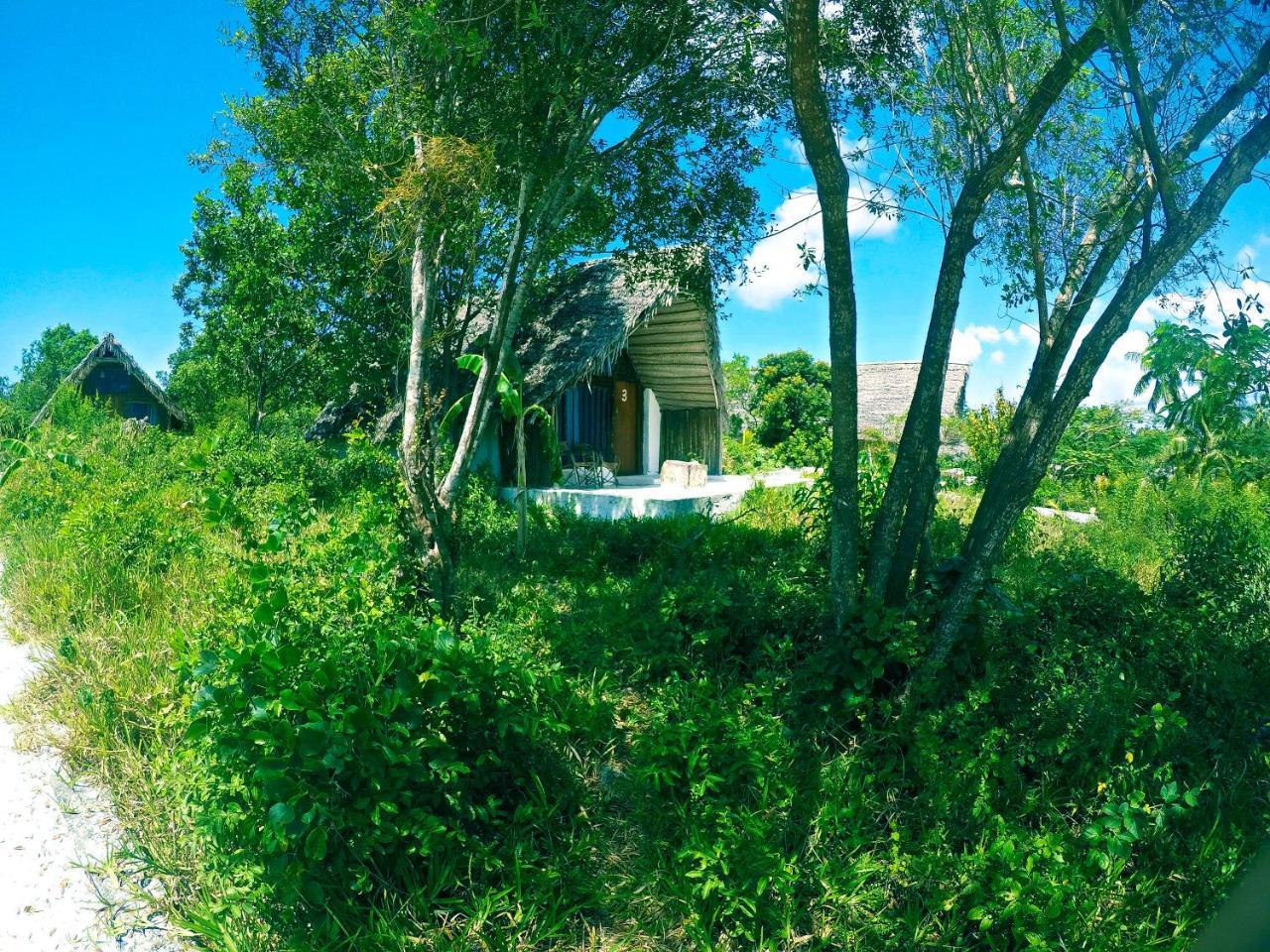 Kae Funk Zanzibar Hotel Michamvi Kae Ngoại thất bức ảnh